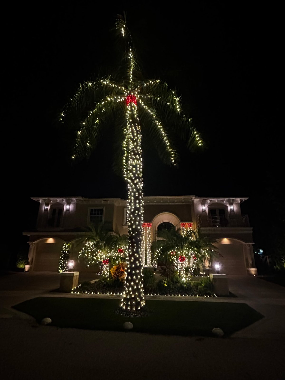 Gulfstream Glow single lit palm with a red bow, driveway median