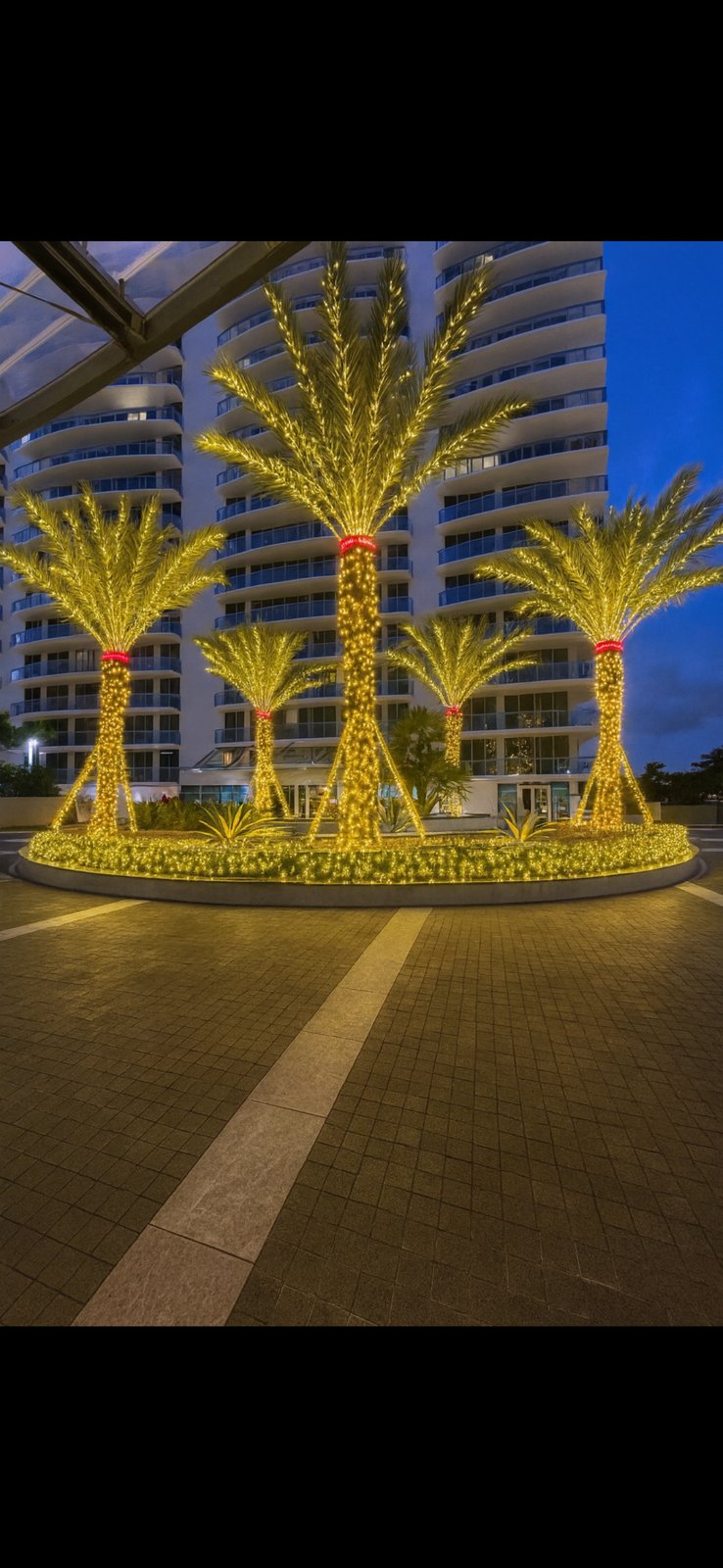 Gulfstream Glow golden lit palms in a circular drive at dusk
