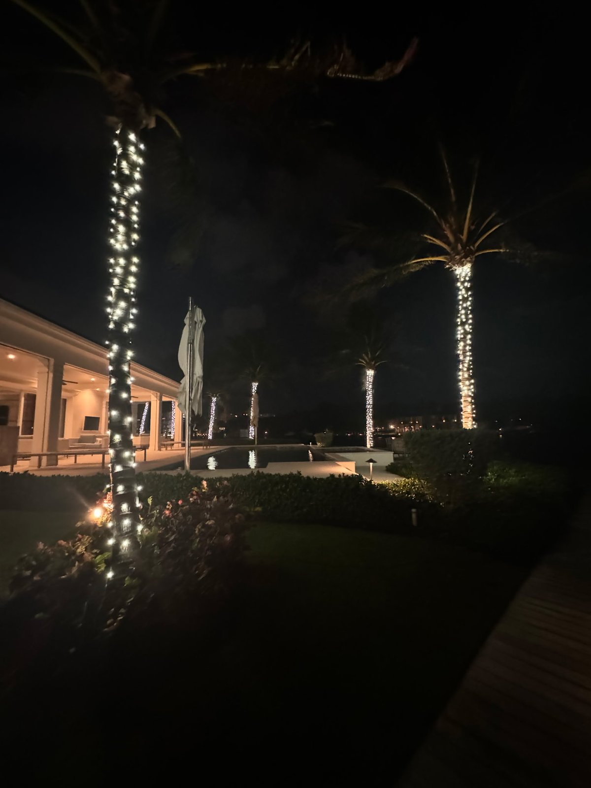 Gulfstream Glow lit palm beside a poolside patio