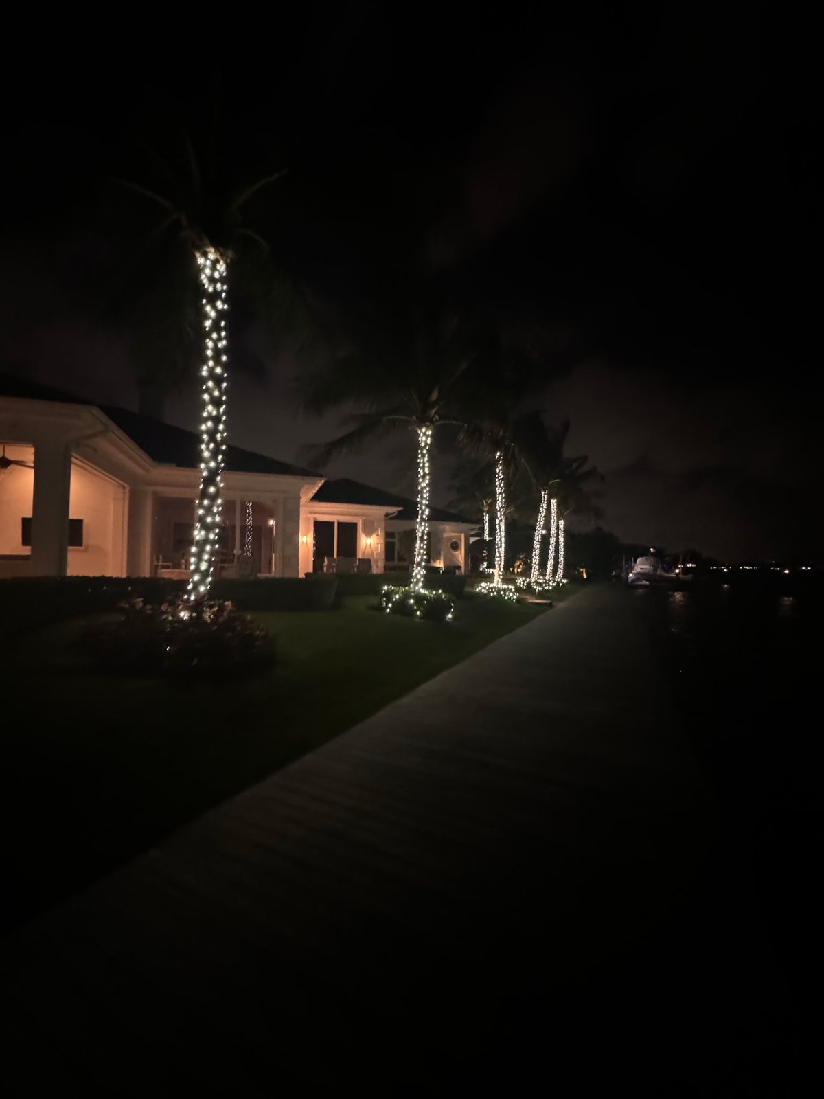 Gulfstream Glow lit palms along a waterfront walkway
