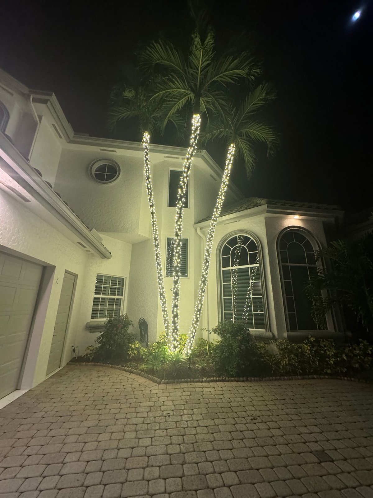Gulfstream Glow lights climbing three palm trunks against a home's facade