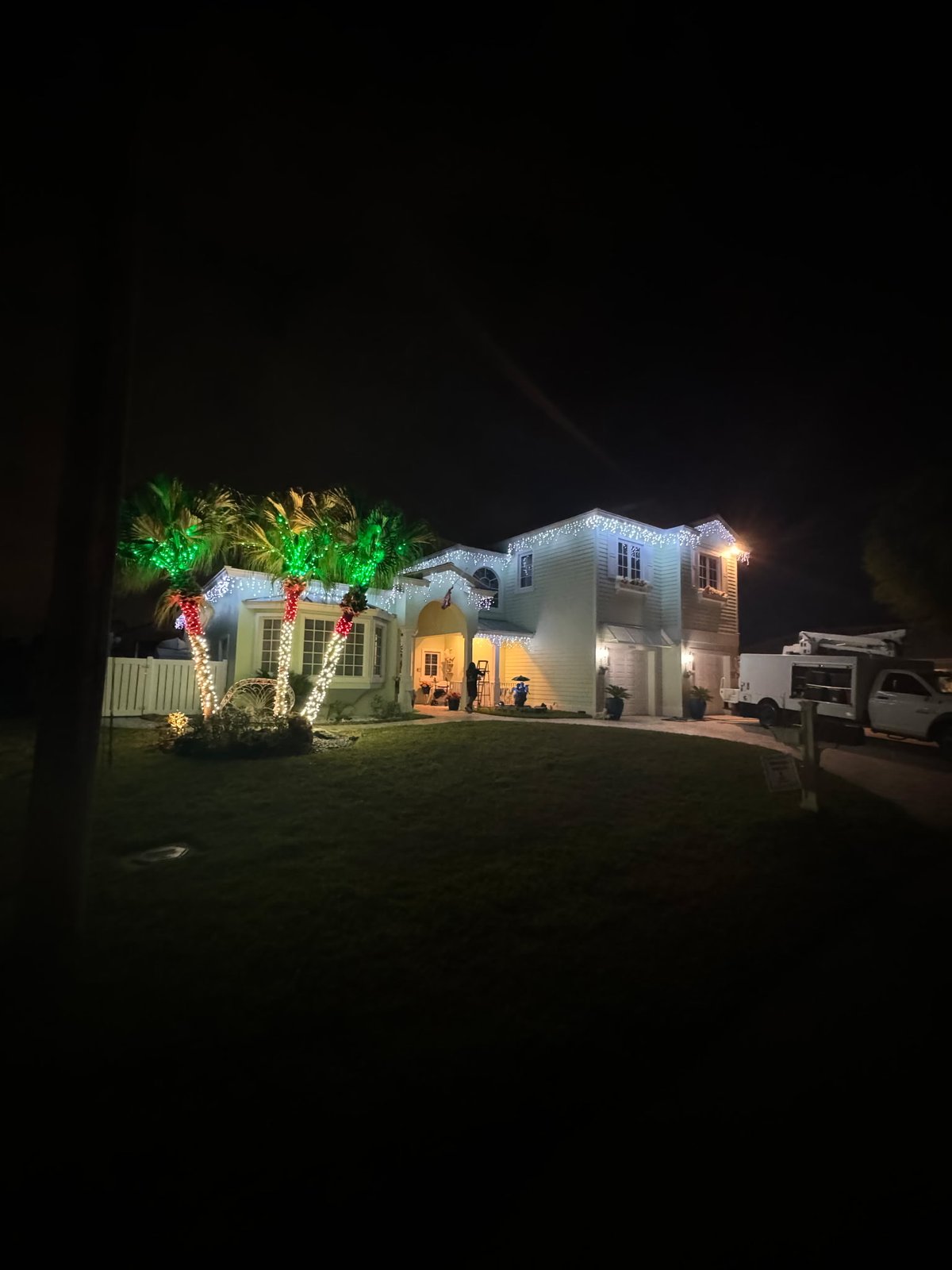 Gulfstream Glow palm cluster lit red, green and white beside the driveway