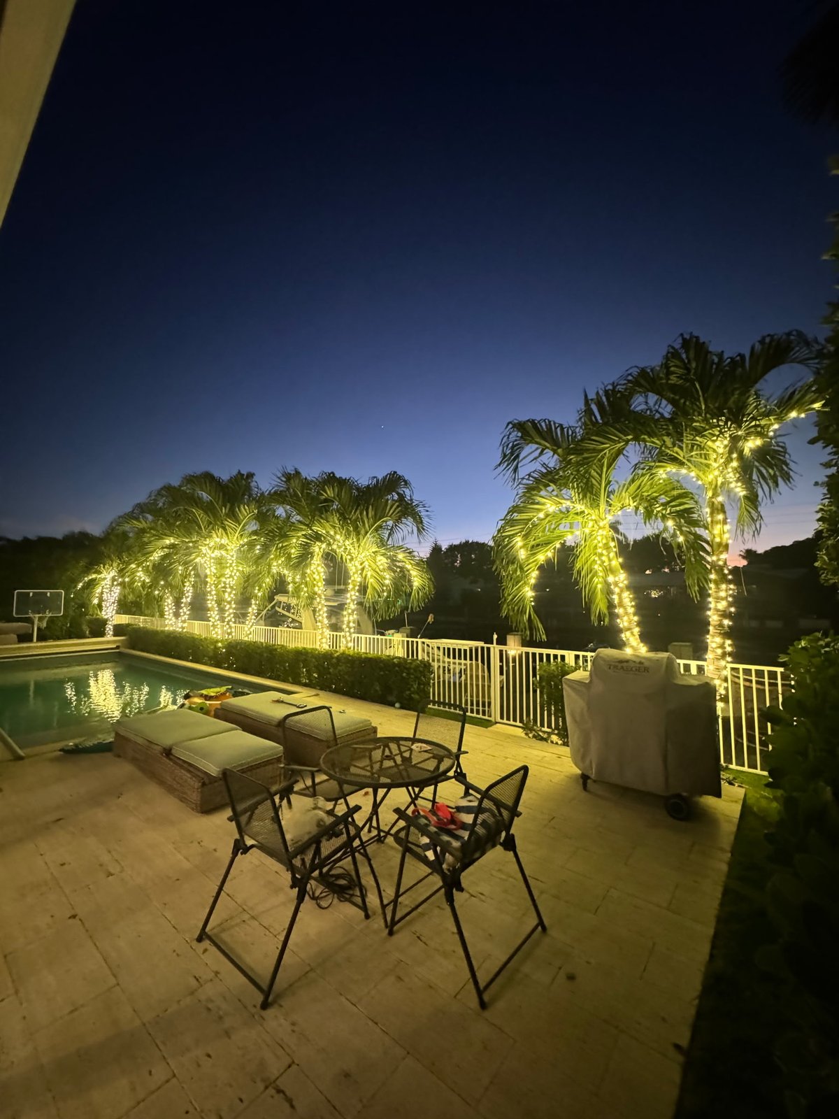 Gulfstream Glow string-lit palms surrounding a backyard pool at dusk
