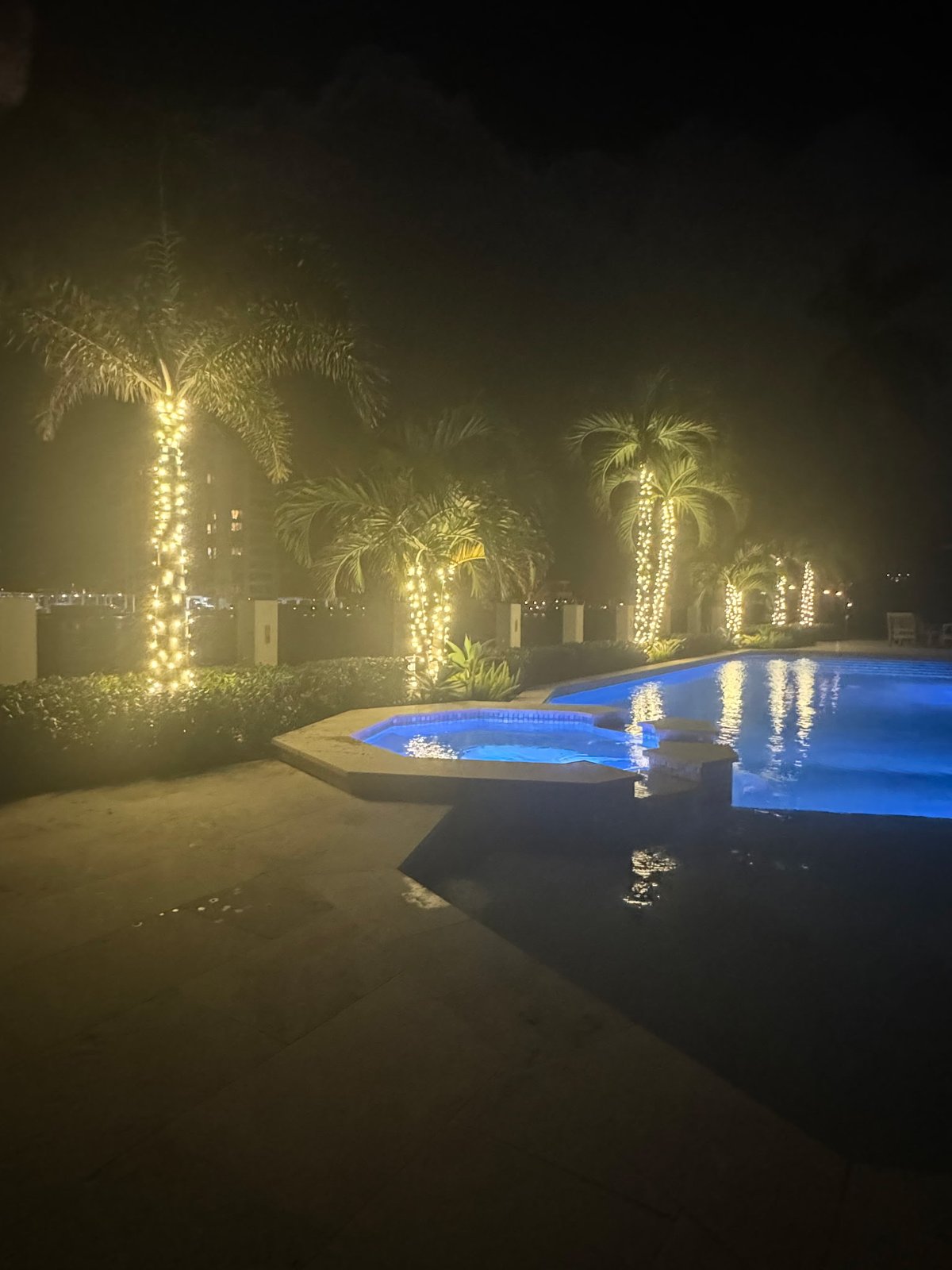 Gulfstream Glow lit palms reflecting in a glowing pool at night